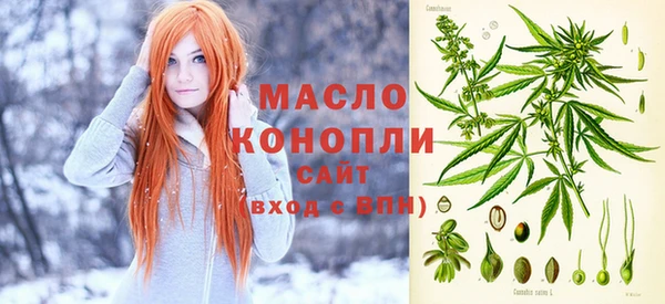 хмурый Арсеньев
