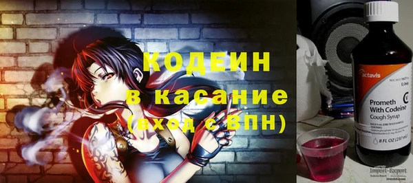 хмурый Арсеньев