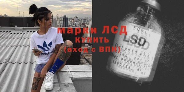 хмурый Арсеньев