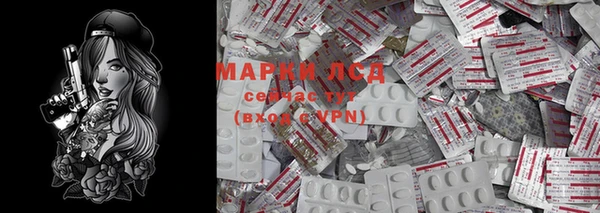 хмурый Арсеньев