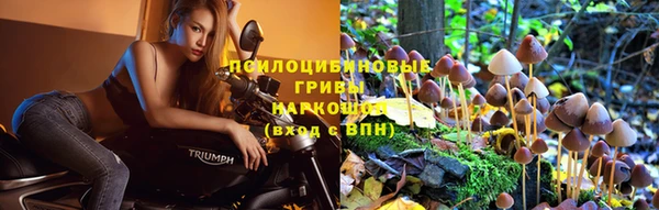 хмурый Арсеньев