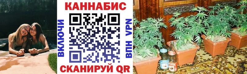 Шишки марихуана ГИДРОПОН  МЕГА зеркало  Озёрск  наркошоп 